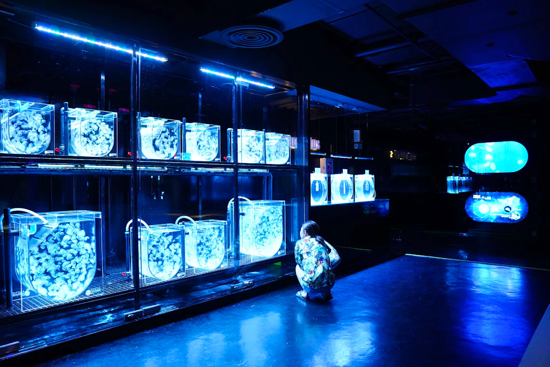 Aquaria Phuket Price